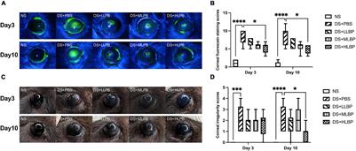 Therapeutic Effects of Topical Application of Lycium barbarum Polysaccharide in a Murine Model of Dry Eye